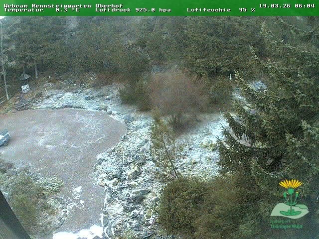 Archived image Webcam Oberhof - Botanical Garden