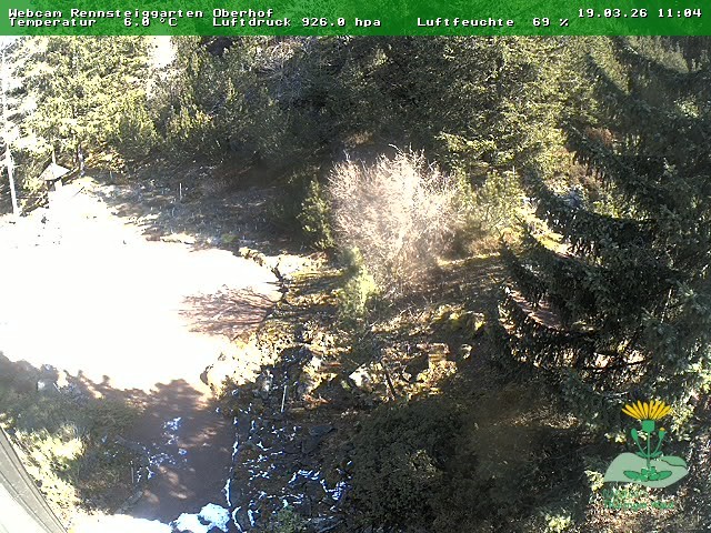 Archiv Foto Webcam Oberhof - Blick in den Rennsteiggarten