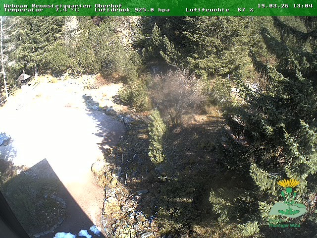 Archiv Foto Webcam Oberhof - Blick in den Rennsteiggarten