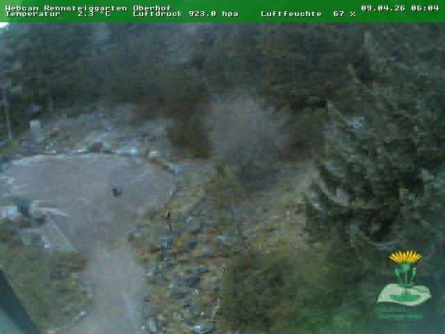 Archiv Foto Webcam Oberhof - Blick in den Rennsteiggarten