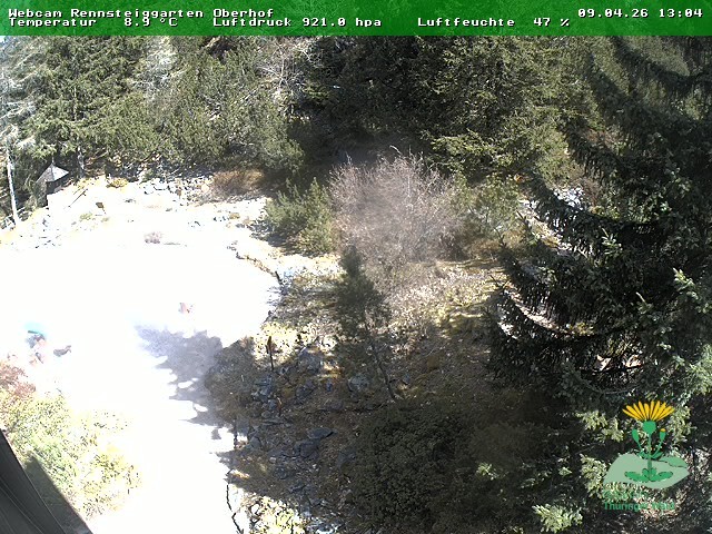 Archiv Foto Webcam Oberhof - Blick in den Rennsteiggarten