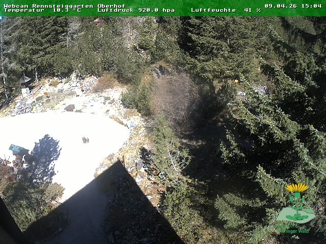 Archiv Foto Webcam Oberhof - Blick in den Rennsteiggarten