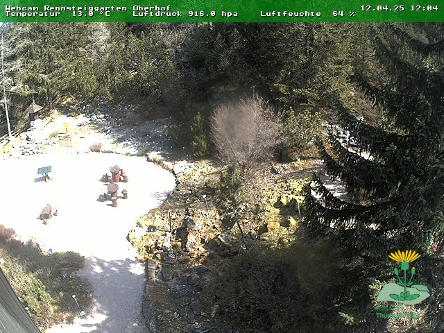 Archiv Foto Webcam Oberhof - Blick in den Rennsteiggarten