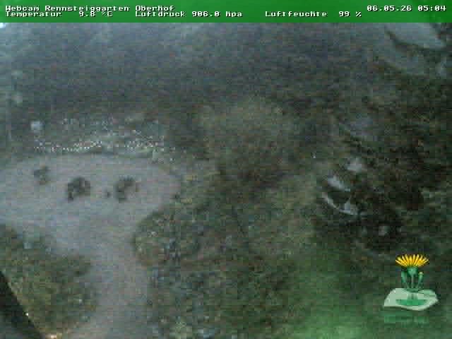 Archiv Foto Webcam Oberhof - Blick in den Rennsteiggarten