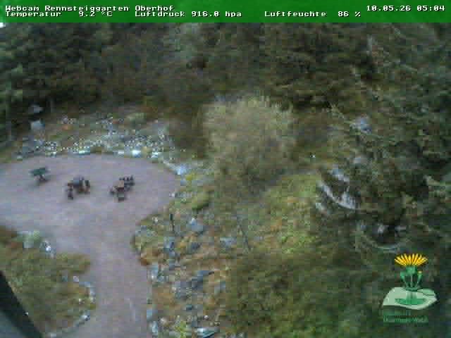 Archiv Foto Webcam Oberhof - Blick in den Rennsteiggarten