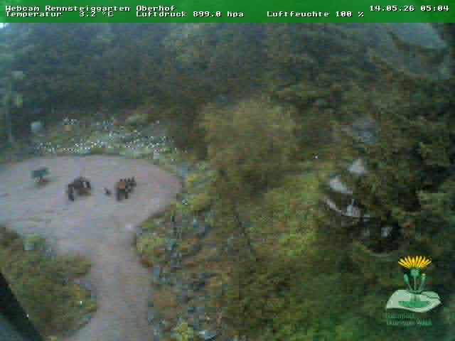 Archiv Foto Webcam Oberhof - Blick in den Rennsteiggarten