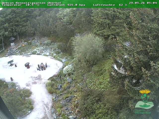 Archiv Foto Webcam Oberhof - Blick in den Rennsteiggarten