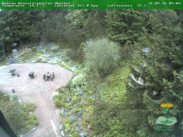 Archived image Webcam Oberhof - Botanical Garden