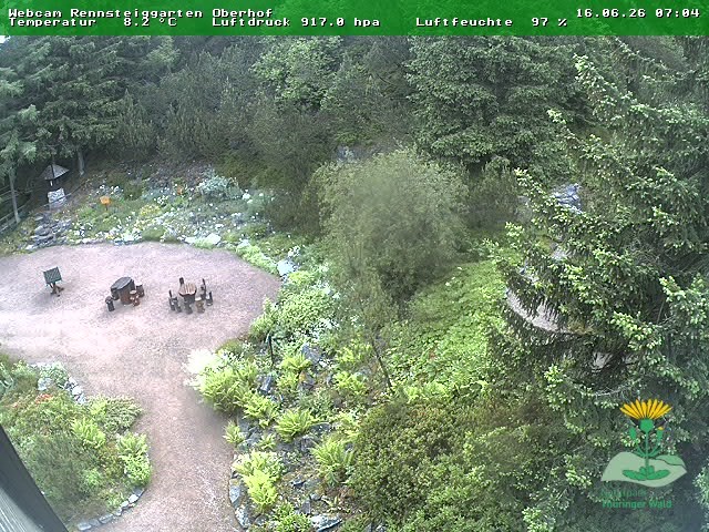 Archiv Foto Webcam Oberhof - Blick in den Rennsteiggarten