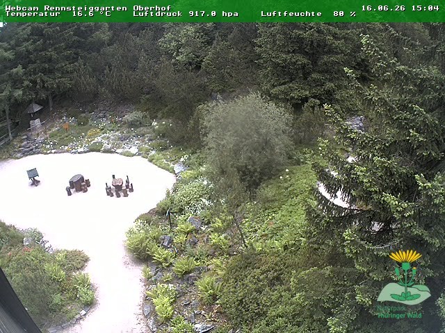 Archived image Webcam Oberhof - Botanical Garden