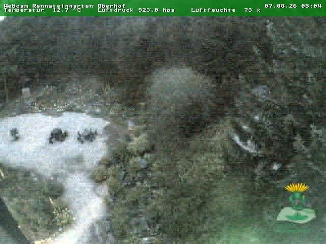 Archiv Foto Webcam Oberhof - Blick in den Rennsteiggarten