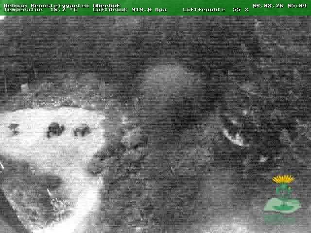 Archiv Foto Webcam Oberhof - Blick in den Rennsteiggarten