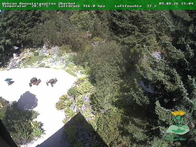 Archiv Foto Webcam Oberhof - Blick in den Rennsteiggarten