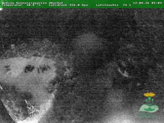 Archiv Foto Webcam Oberhof - Blick in den Rennsteiggarten