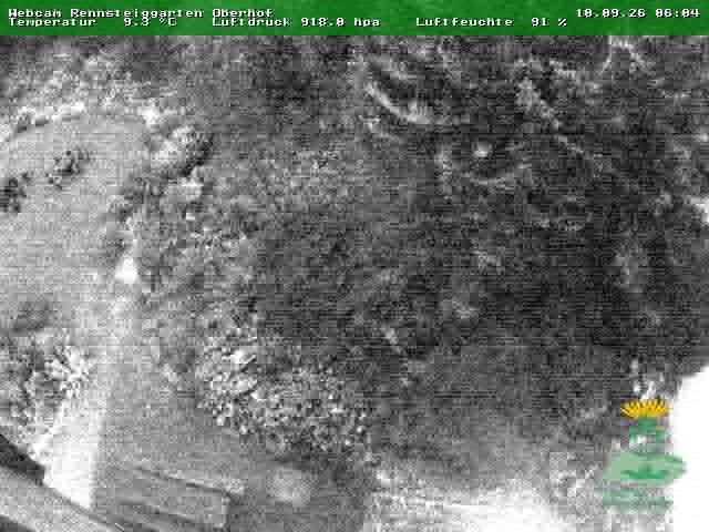 Archived image Webcam Oberhof - Botanical Garden