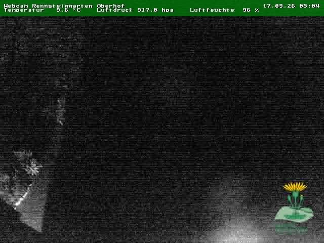 Archived image Webcam Oberhof - Botanical Garden