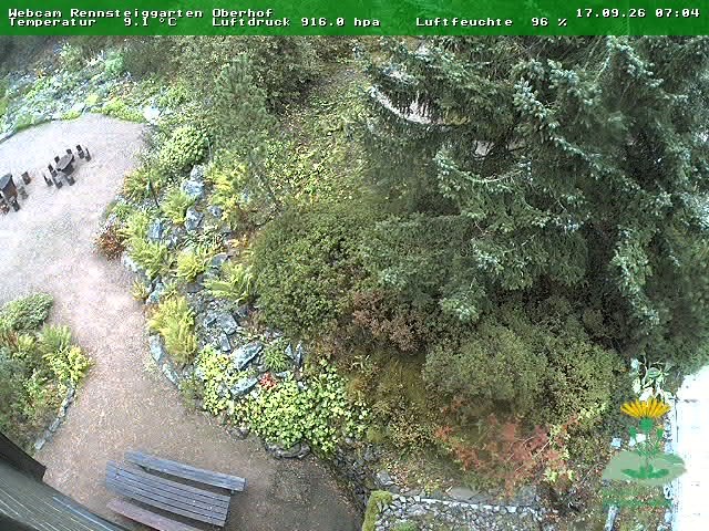 Archived image Webcam Oberhof - Botanical Garden
