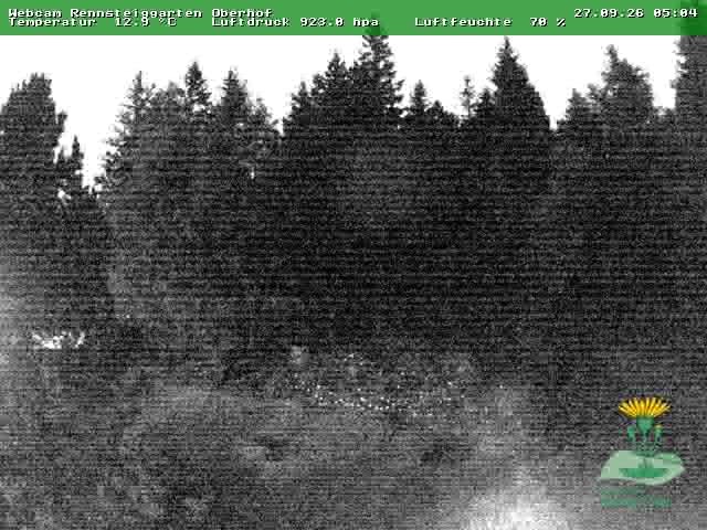 Archiv Foto Webcam Oberhof - Blick in den Rennsteiggarten