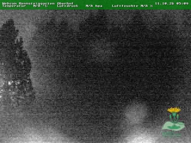 Archiv Foto Webcam Oberhof - Blick in den Rennsteiggarten