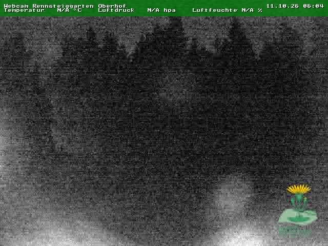 Archived image Webcam Oberhof - Botanical Garden