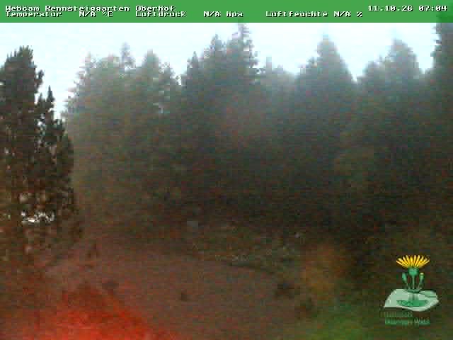 Archived image Webcam Oberhof - Botanical Garden