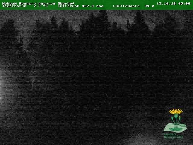 Archiv Foto Webcam Oberhof - Blick in den Rennsteiggarten