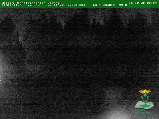 Archiv Foto Webcam Oberhof - Blick in den Rennsteiggarten
