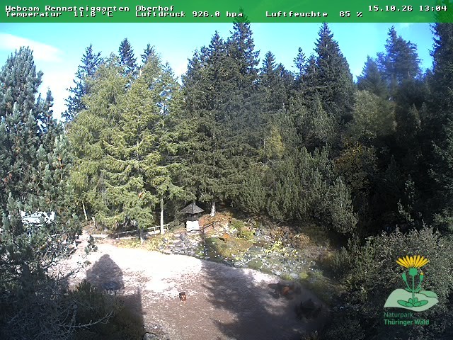Archiv Foto Webcam Oberhof - Blick in den Rennsteiggarten