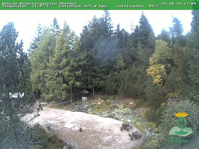 Archiv Foto Webcam Oberhof - Blick in den Rennsteiggarten