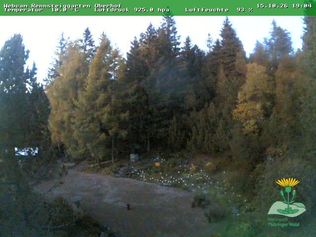 Archiv Foto Webcam Oberhof - Blick in den Rennsteiggarten