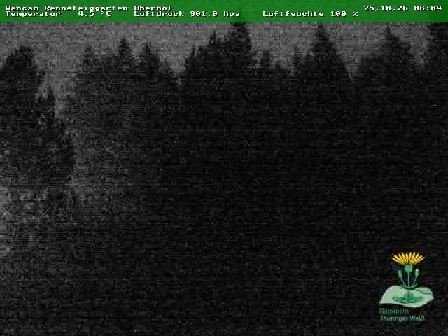 Archiv Foto Webcam Oberhof - Blick in den Rennsteiggarten