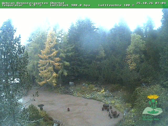 Archiv Foto Webcam Oberhof - Blick in den Rennsteiggarten