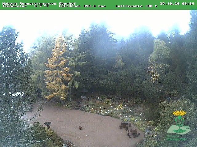Archiv Foto Webcam Oberhof - Blick in den Rennsteiggarten