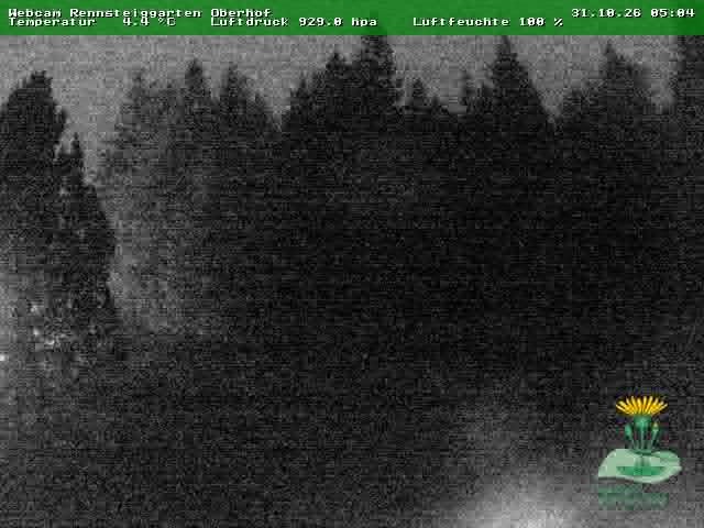 Archiv Foto Webcam Oberhof - Blick in den Rennsteiggarten