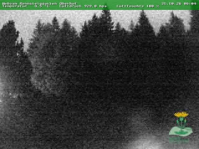 Archiv Foto Webcam Oberhof - Blick in den Rennsteiggarten