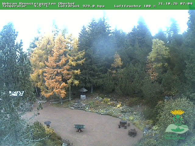 Archiv Foto Webcam Oberhof - Blick in den Rennsteiggarten