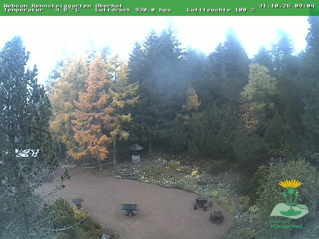 Archiv Foto Webcam Oberhof - Blick in den Rennsteiggarten