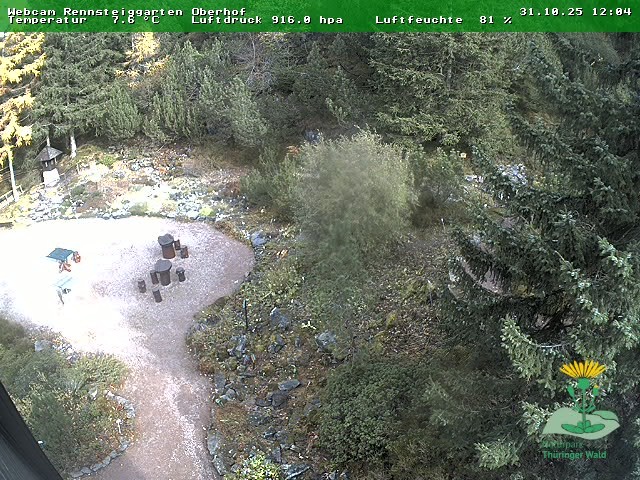 Archiv Foto Webcam Oberhof - Blick in den Rennsteiggarten