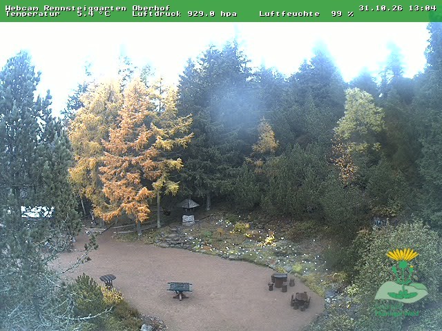 Archiv Foto Webcam Oberhof - Blick in den Rennsteiggarten
