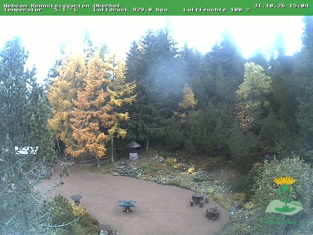 Archiv Foto Webcam Oberhof - Blick in den Rennsteiggarten