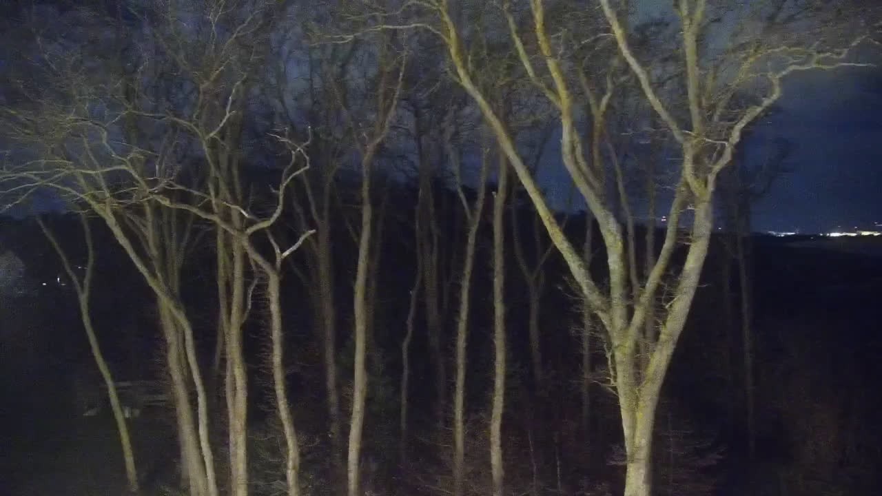 Archiv Foto Webcam Markgrafenheide Strandresort Ostsee