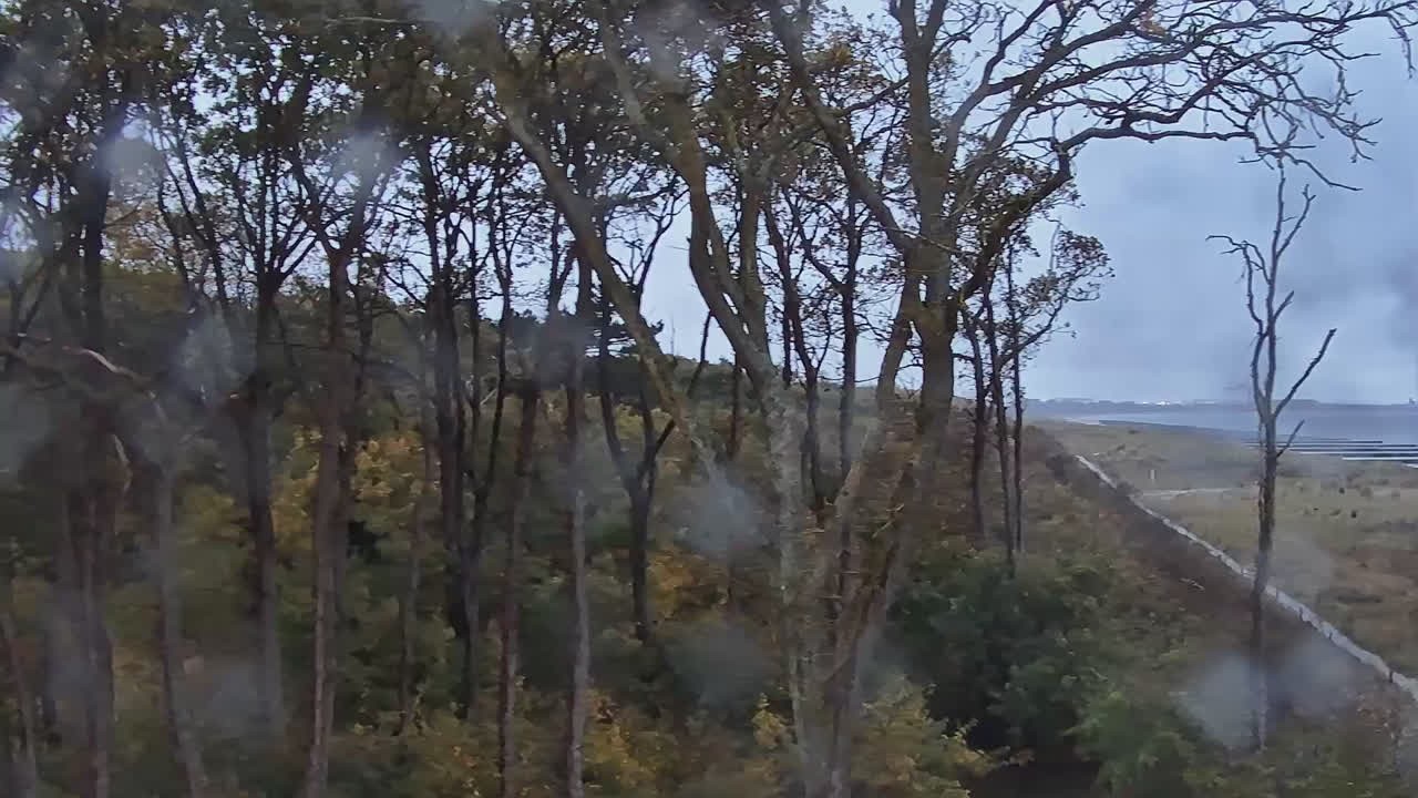 Archiv Foto Webcam Markgrafenheide Strandresort Ostsee