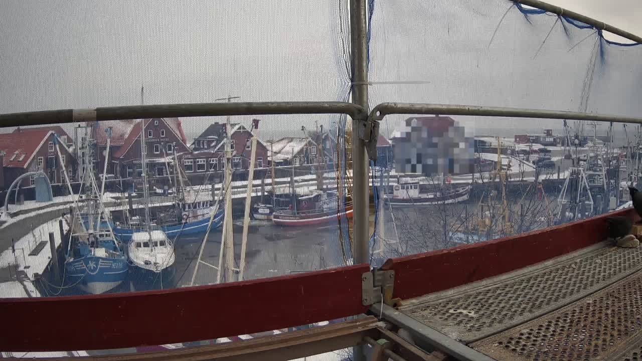 Archiv Foto Webcam Neuharlingersiel am Kutterhafens