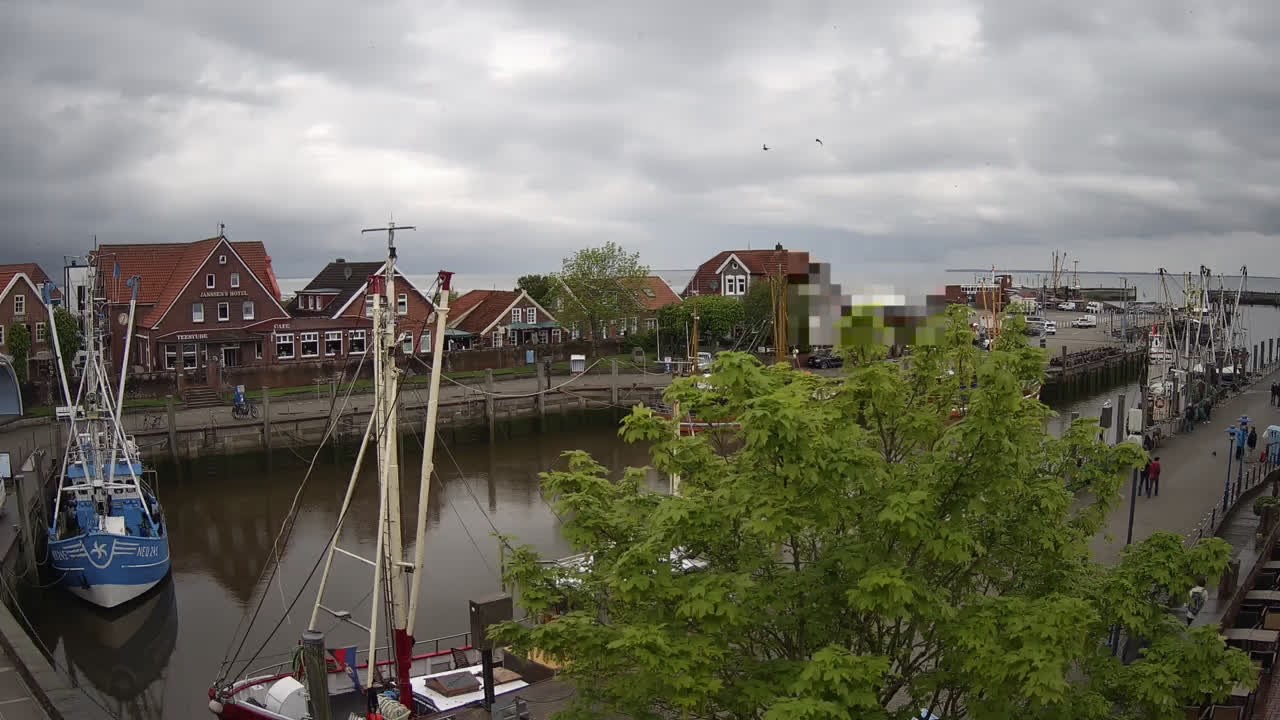 Archiv Foto Webcam Neuharlingersiel am Kutterhafens
