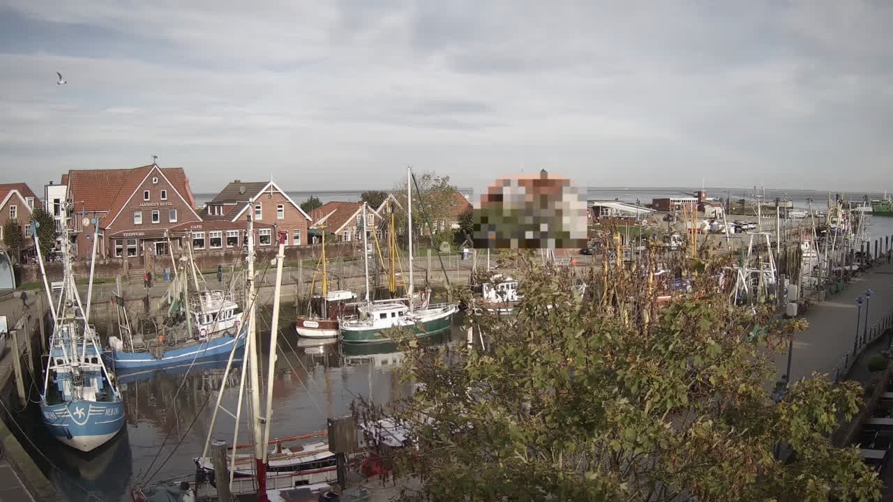 Archiv Foto Webcam Neuharlingersiel am Kutterhafens