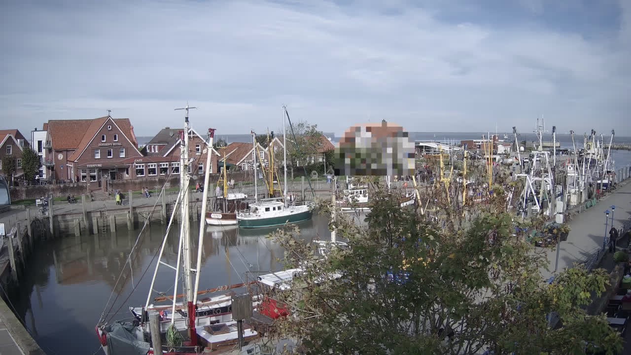 Archiv Foto Webcam Neuharlingersiel am Kutterhafens
