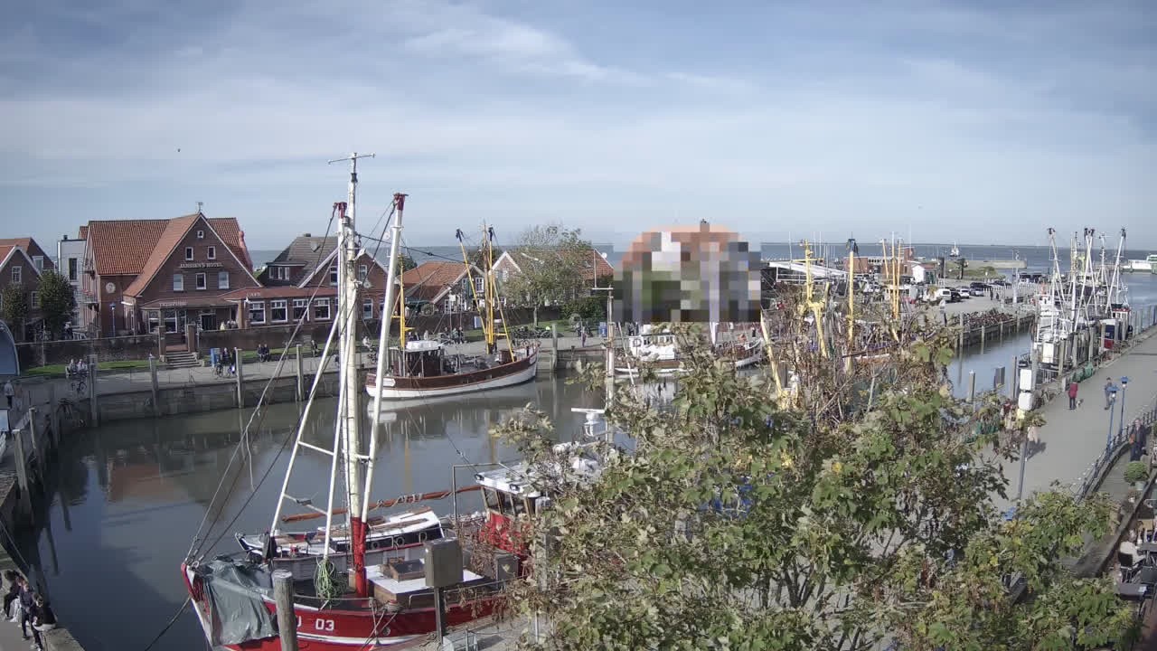 Archiv Foto Webcam Neuharlingersiel am Kutterhafens