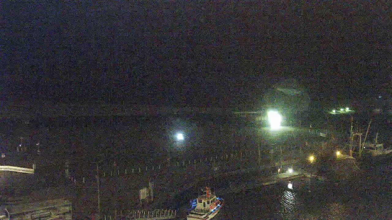 Archiv Foto Webcam Neuharlingersiel: Am Wattenmeer