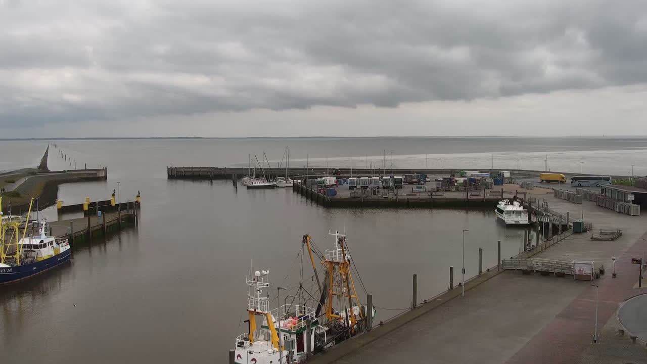 Archiv Foto Webcam Neuharlingersiel: Am Wattenmeer