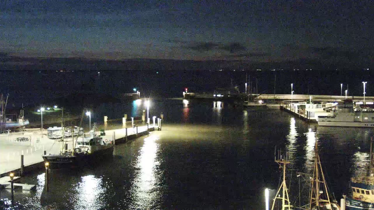 Archiv Foto Webcam Neuharlingersiel: Am Wattenmeer